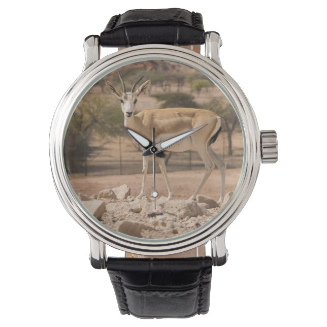 Abu Dhabi Armbandsur (Framsida)