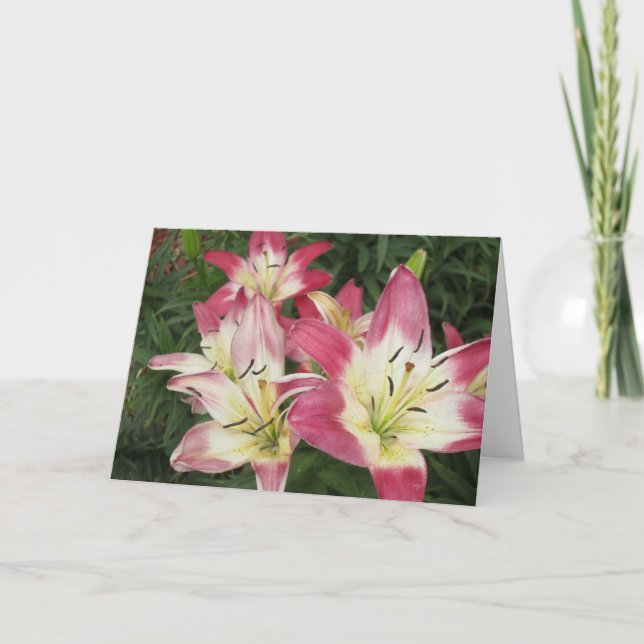 Abundance Greeting Card Kort (Framsida)