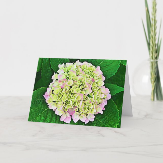 Abundant Hydrangea Scripture Card 1 Timothy 1:14 Kort (Framsida)