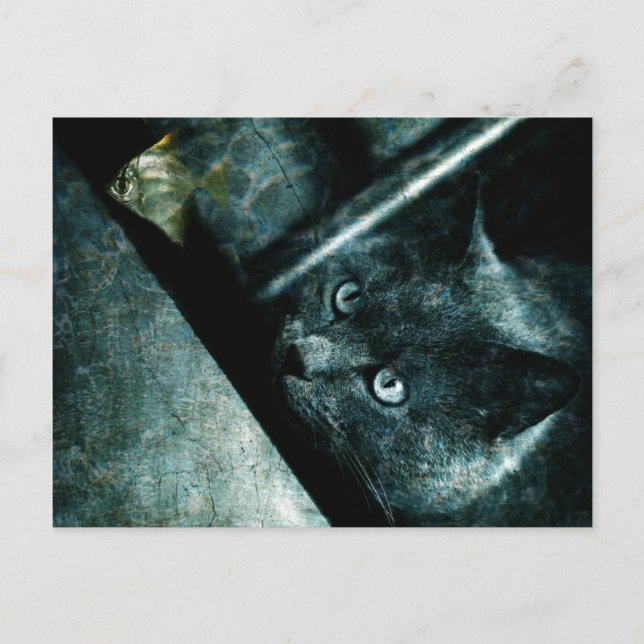 Abyss cat - Postcard Vykort (Framsida)