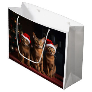 Abyssinian av julgranen