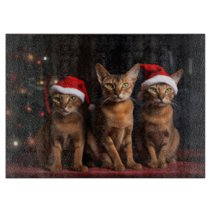 Abyssinian av julgranen