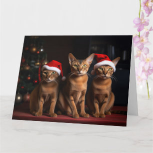 Abyssinian av julgranen kort
