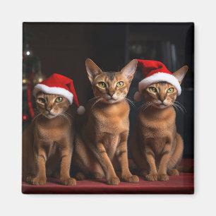 Abyssinian av julgranen magnet