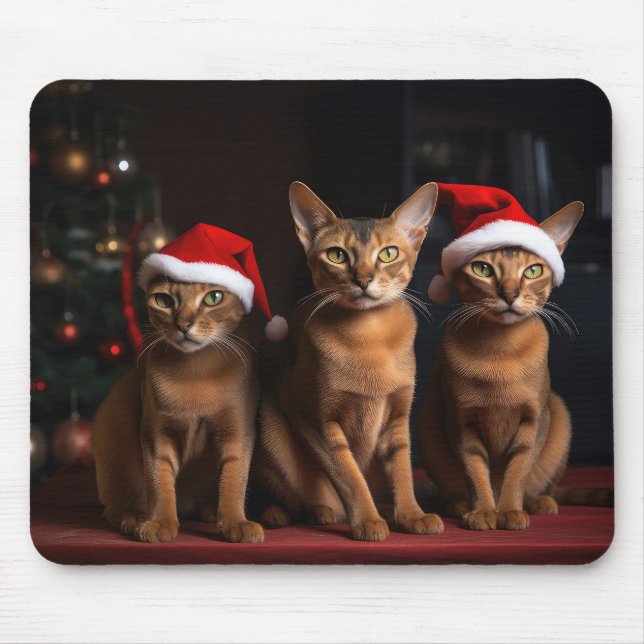 Abyssinian av julgranen musmatta (Framsidan)