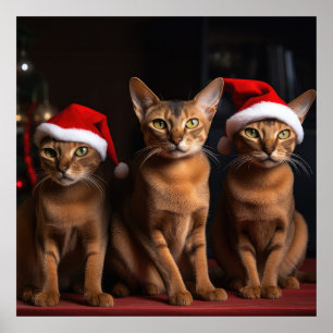 Abyssinian av julgranen poster