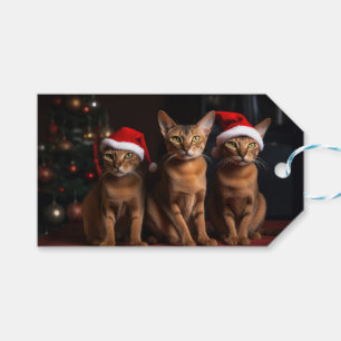 Abyssinian av julgranen presentetikett