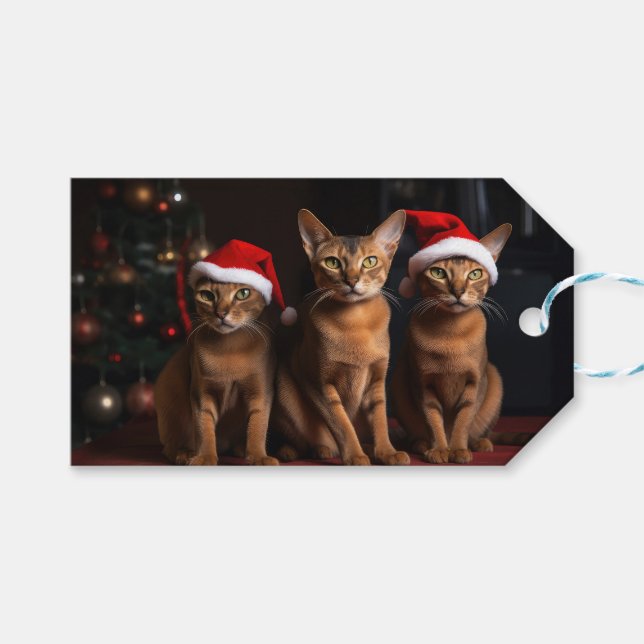 Abyssinian av julgranen presentetikett (Framsidan (Horisontell))