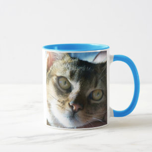 Abyssinian Blue Male Cat Mugg