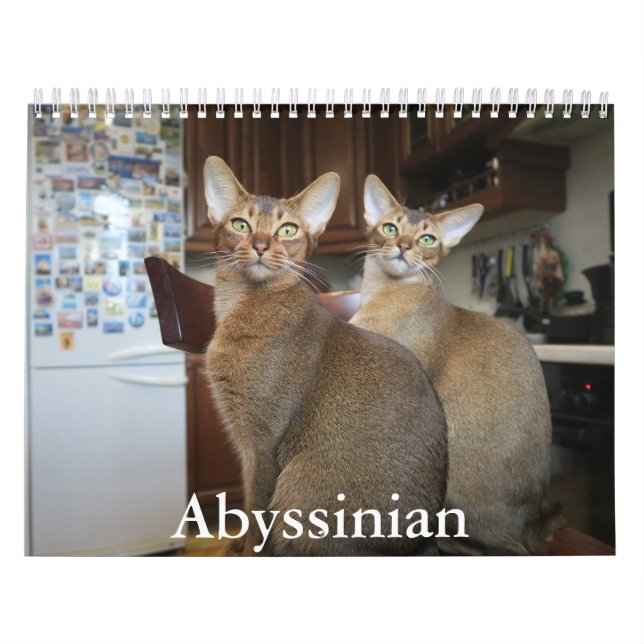 Abyssinian Calendar Kalender (Omslag)