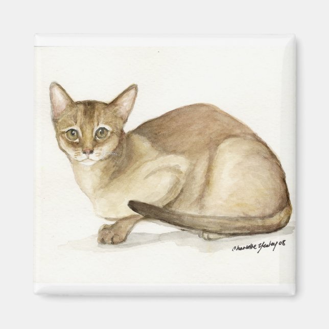 "Abyssinian Cat" Art Reproduction Magnet (Framsidan)