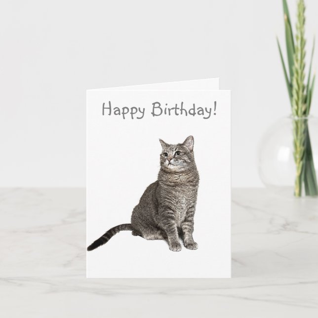 Abyssinian Cat Birthday Card Tack Kort (Framsida)