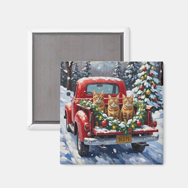 Abyssinian Cat Christmas Red Truck Holiday Magnet (Front/Back)