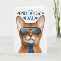 Abyssinian Cat Fars dag 1 Coola Katt