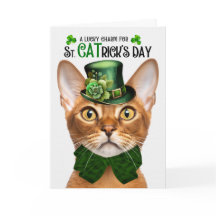 Abyssinian Cat Funny St. CATricks Dag Lucky Charm