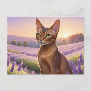 Abyssinian Cat i Lavender Fält Vykort