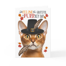 Abyssinian Cat-Kattdjuret tacksamt för PURR-nyckel