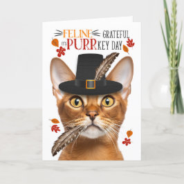 Abyssinian Cat-Kattdjuret tacksamt för PURR-nyckel Helgkort