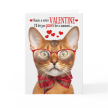 Abyssinian Cat Lover Kattdjur Humor Alla hjärtans 