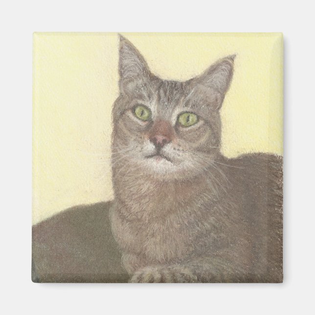 Abyssinian Cat Magnet (Framsidan)