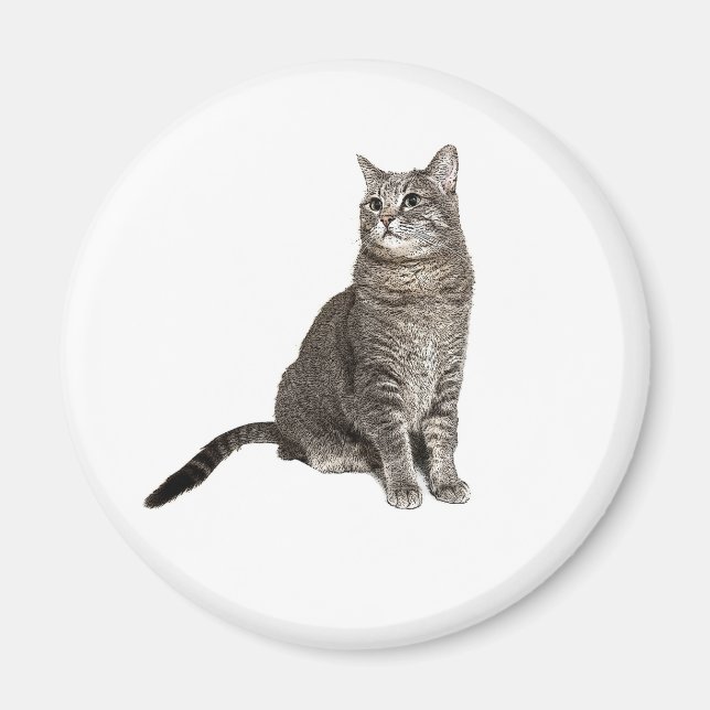 Abyssinian Cat Round Magnet (Framsidan)