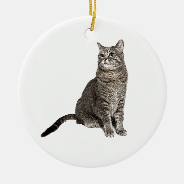 Abyssinian Cat Round Ornament (Framsidan)