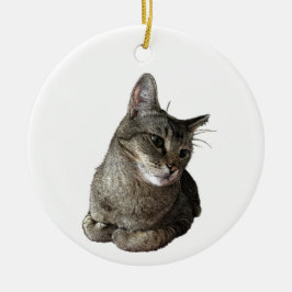 Abyssinian Cat Round Ornament