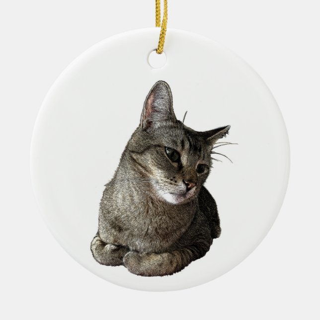 Abyssinian Cat Round Ornament (Framsidan)