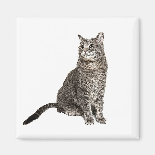 Abyssinian Cat Square Magnet (Framsidan)