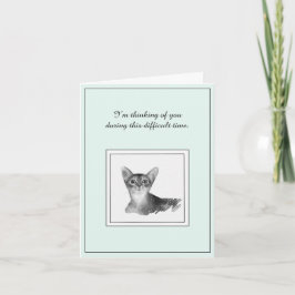 Abyssinian Cat Sympathy Card Kort