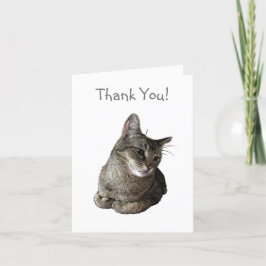 Abyssinian Cat - tackkort