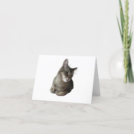 Abyssinian Cat - tackkort Helgkort