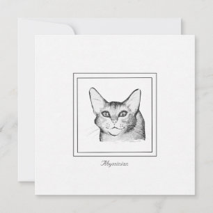 Abyssinian Cat Teckning - platta anteckningskort