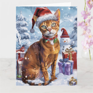 Abyssinian Cat Winter Wonderland jul Joy Kort