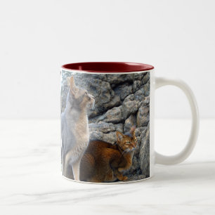Abyssinian Cats Brother and Sister Två-Tonad Mugg