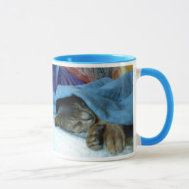 Abyssinian Cats Mugg