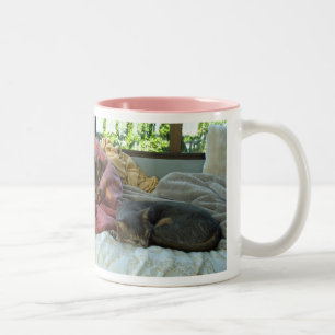 Abyssinian Cats Två-Tonad Mugg