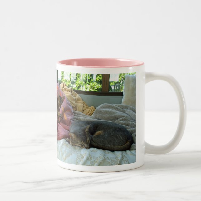 Abyssinian Cats Två-Tonad Mugg (Höger)