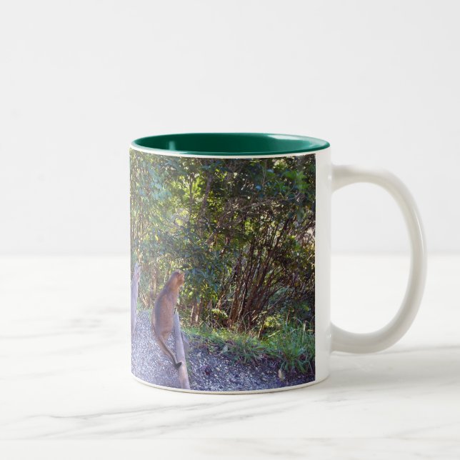 Abyssinian Cats Två-Tonad Mugg (Höger)