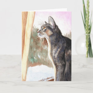 Abyssinian "för vintersol" blått kort