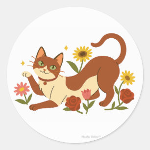Abyssinian i prästkragar Klassisk rund sticker Runt Klistermärke