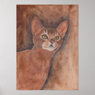 Abyssinian katt poster