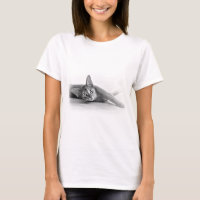 Abyssinian katt