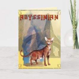 Abyssinian kattkort kort