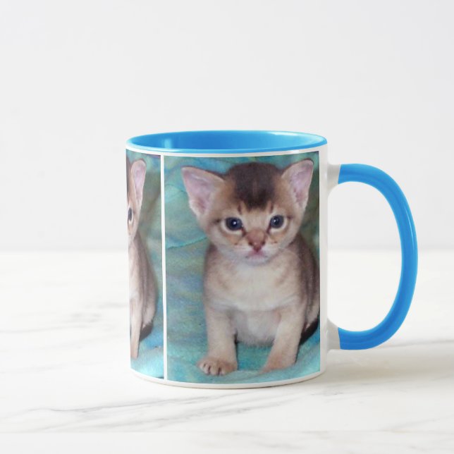 Abyssinian Kitten Mugg (Höger)
