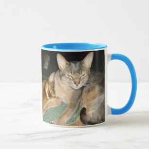 Abyssinian Kitten och Cat Mugg