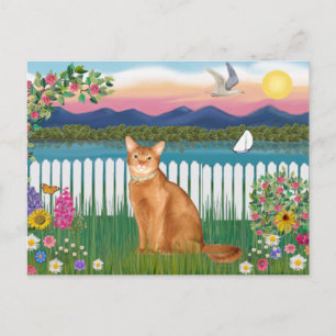 Abyssinian (red 18) - Garden-Shore Vykort
