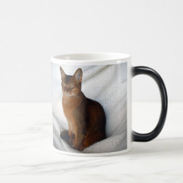 Abyssinian rödlätt kvinnlig kattmugg magisk mugg