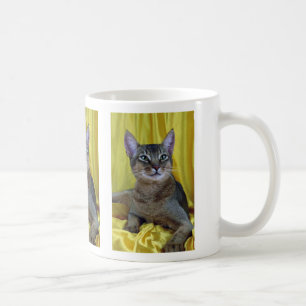 Abyssinian som är vanlig kaffemugg