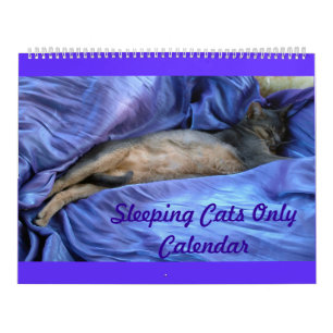 Abyssinian sova kattkalender kalender